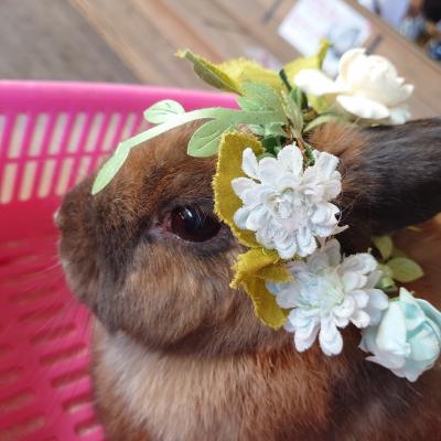 のんびり温泉旅～２日目、伊香保温泉～