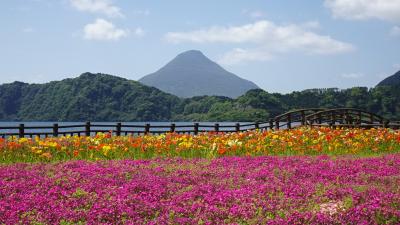 花畑と開聞岳、指宿、青隆寺、最南端の駅、いせえび荘　南九州の旅3