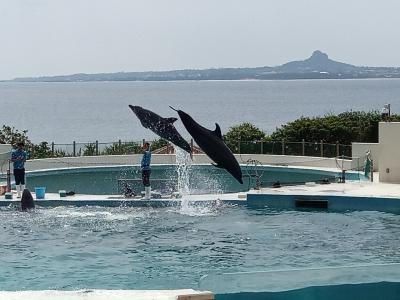 GW前に旅行支援で征く美ら海水族館