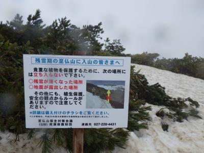 雨の至仏山