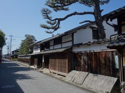 近江八幡の市街を散策。商人の町ですね。