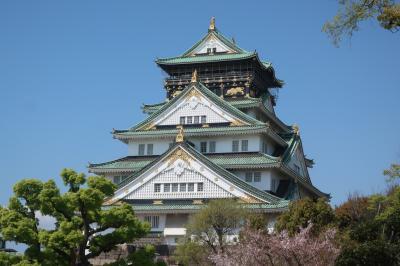 大阪城桜、NHK大阪放送局