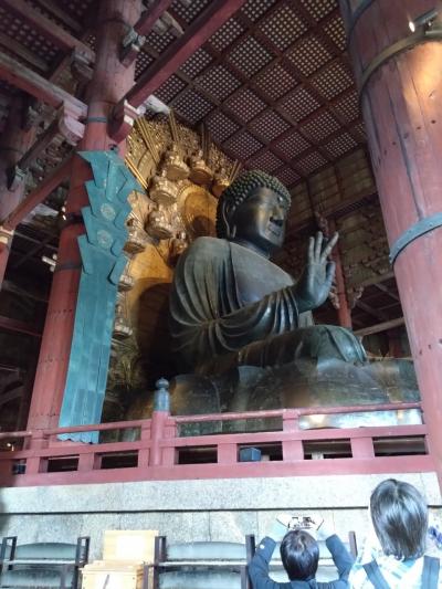 旅行体験者2023 ～奈良～ゴールデンウィークスペシャル！