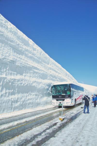 富山の旅（４）雪の大谷ウォーキング。