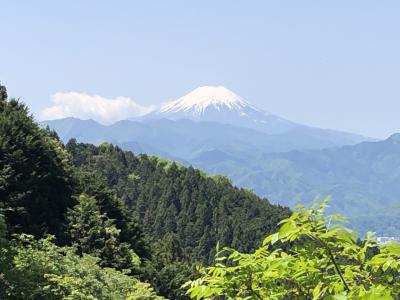 新緑の和田峠と甲武トンネル　サイクリング