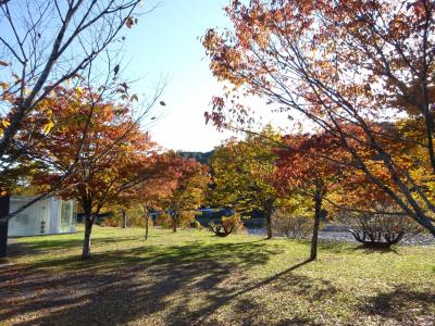 路線バスで中辺路訪問　近露王子～湯の峰温泉