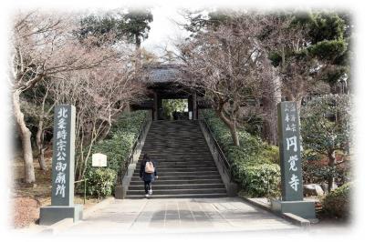 一泊二日　神奈川県一之宮巡り　第一日目(鎌倉円覚寺・建長寺・鶴岡八幡宮)