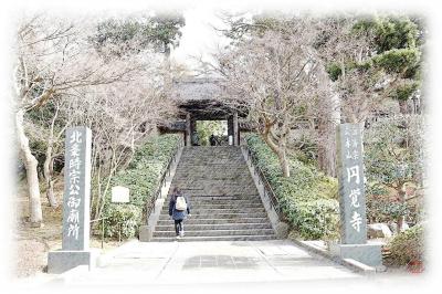 臨済宗大本山円覚寺