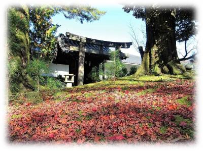 綾戸大明神・金地院・金地院東照宮