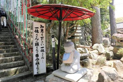 ５月の真福寺。菩提樹館で展示されている盆栽が素晴らしかった。