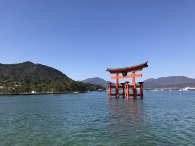 海に浮かぶ嚴島神社を参拝。そして、干潮時の大鳥居をくぐってきました。