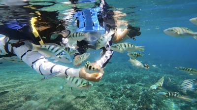 6年ぶりのバリ島！