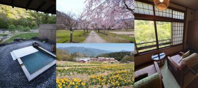 関東最遅の桜鑑賞＆静かな温泉でのんびり～2023年4月・気ままなみなかみ旅～