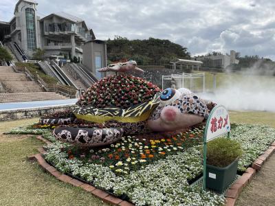 【沖縄旅行12泊13日の旅#２】大人も楽しめる美ら海水族館・フクギ並木・古宇利島ハート岩