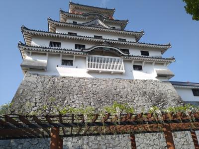 佐賀・福岡の花見ツアーに参加するおばちゃん旅①～高野寺「しゃくなげ」御船山楽園「つつじ」唐津城「藤」～