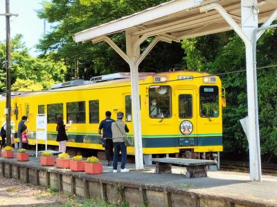 お勧めしたい♪いすみ鉄道、小湊鉄道に乗って里山ハイキング