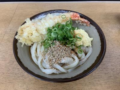 駆け足で巡る高松・徳島旅①高松うどん巡りと栗林公園