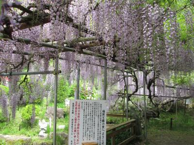 匝瑳市散策・城探訪