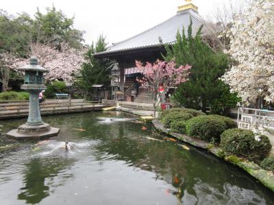 お遍路ドライブ開始！ 1番霊山寺･大麻比古神社･2番極楽寺☆四国お遍路ドライブ2023年春①