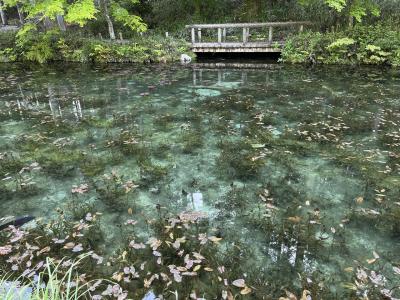 2023.5.3　名もなき池