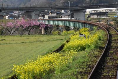 日本の原風景「八頭若桜谷」を走る若桜鉄道2021～菜の花と桜の咲き誇る車窓と丹比駅～（鳥取）