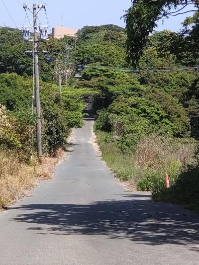 【ちょっとお出掛け】あの坂道へ。 &lt;菊次郎の夏・バス停&gt;