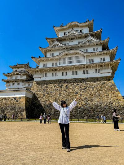 姫路城へ登城