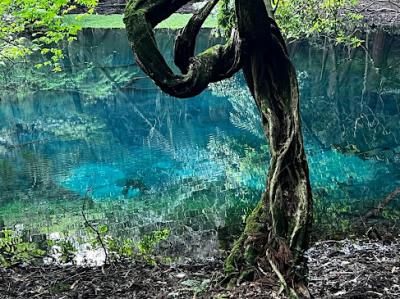 酒田・遊佐の自転車散策