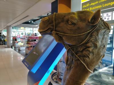 ギリシア シニア 凸凹女子二人旅 ①出発