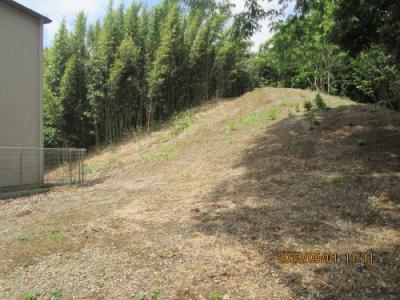 柏市の豊四季・上野牧野馬土手・低見台第三公園