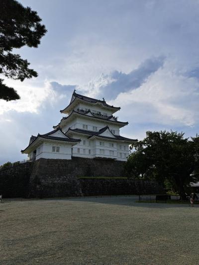 小田原市内観光～「小田原城　報徳二宮神社」