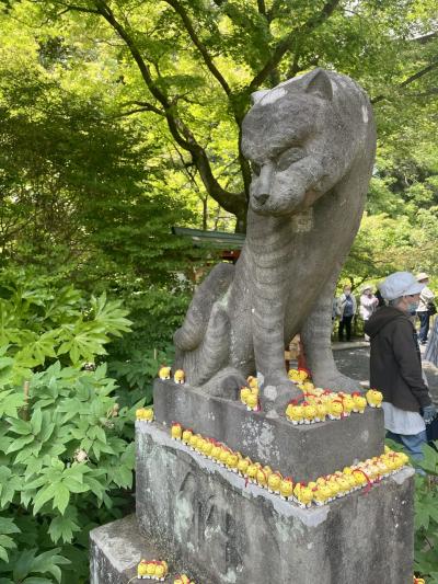 多聞院の「寅まつり」～身代わり寅