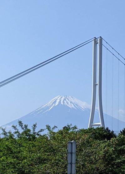 ㉘東海道五十三次　京から江戸へ（沼津宿→三島宿→三島スカイウォーク)
