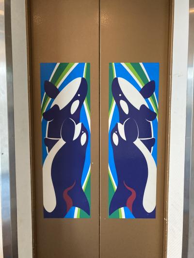 鴨川シーワルードと菜の花 4