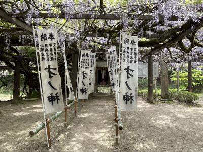 《2023.May》あみんちゅなにげに関西街歩きの旅京都そのXXII京都福知山～才ノ神の藤・普門寺の藤を訪ねて～