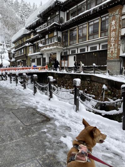 正月に行く犬連れ旅行・山形県・銀山温泉・米沢