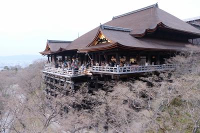 京都／奈良　春の古都の御参り旅①