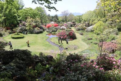 GW赤城・日光の旅・・春の花々が見頃を迎えている、赤城自然園を訪ねます。