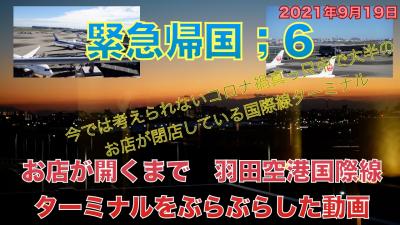 緊急帰国6　自主隔離生活中のある日羽田空港国際線ターミナルを散歩してみました