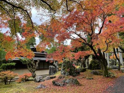 京都観光