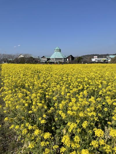 千葉/強風でやられた白浜での週末＠シーグラス白浜1st（2023年2月）