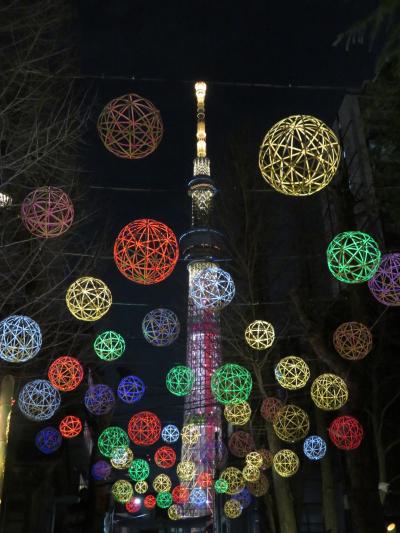 牛嶋神社イルミネーション♪～２０２３～