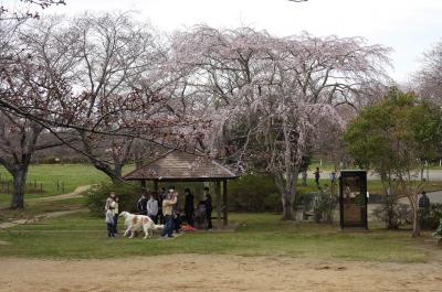 鹿島城山公園で散策＆バードウォッチング [2022](1)