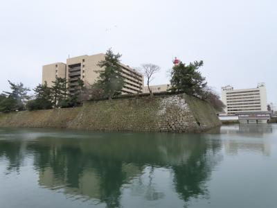 城郭・侍屋敷古図集成 福井城・金沢城(平井聖監修・吉田純一著