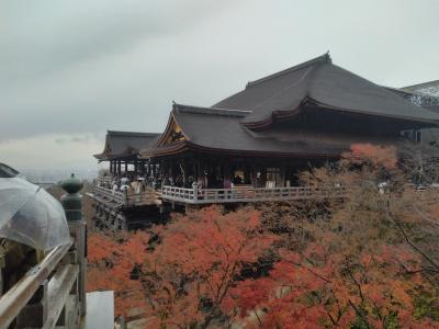 京都旅行　清水寺と下鴨神社