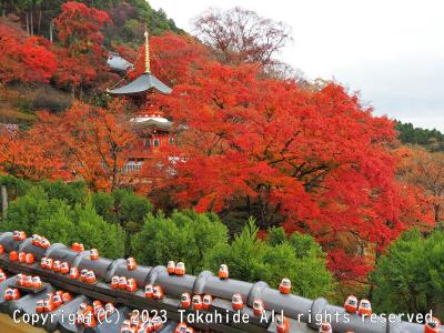 西国三十三所徒歩巡礼(総持寺駅→[第22番]総持寺→[第23番]勝尾寺→[第24番]中山寺→宝塚駅)