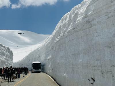 絶景、雪の大谷