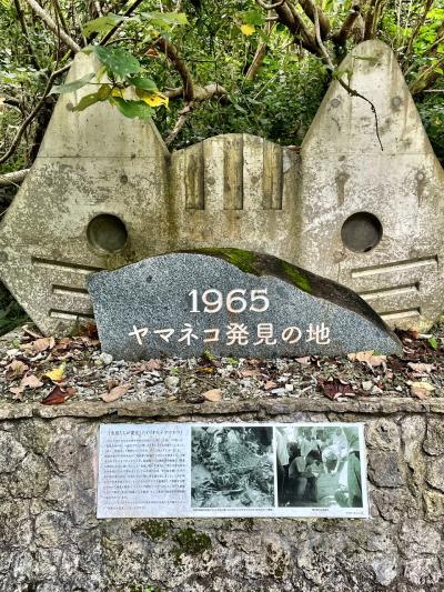 梅雨に入りかけた西表島③