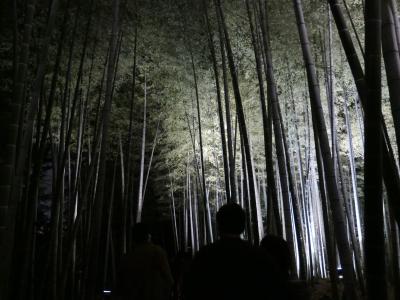 京都の夜を散策　