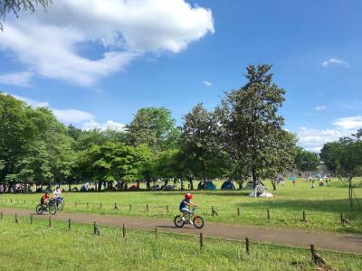 【東京を自転車で走る旅】(4) 小平グリーンロード・南半周